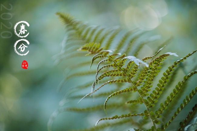 生肖鼠的3个贵人