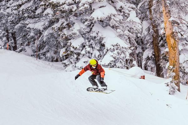 属牛人报复你的表现
