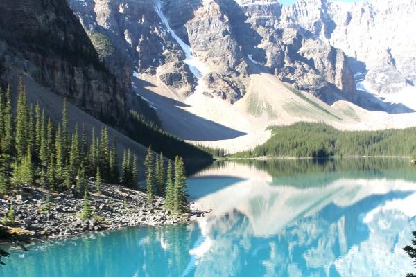 龙和什么属相冲相克