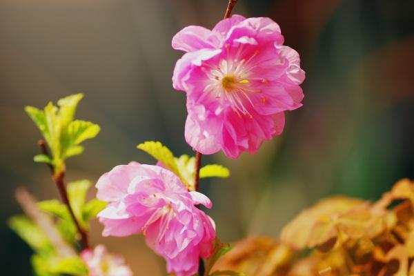 属蛇最难过的几年