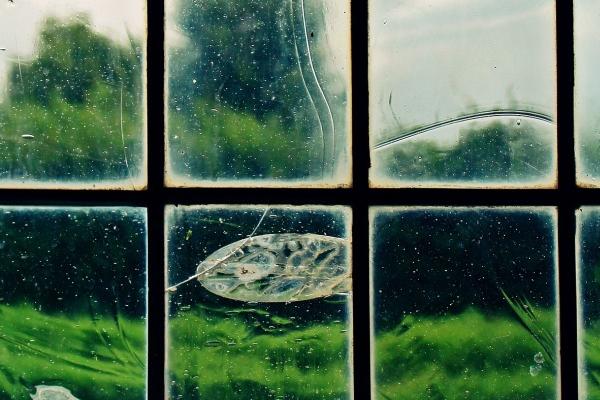 蛇宝宝什么属相的父母最好呢