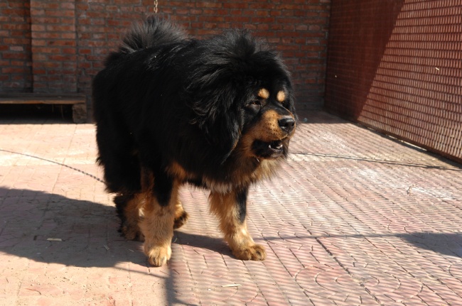 属蛇2025年每月财运运势如何