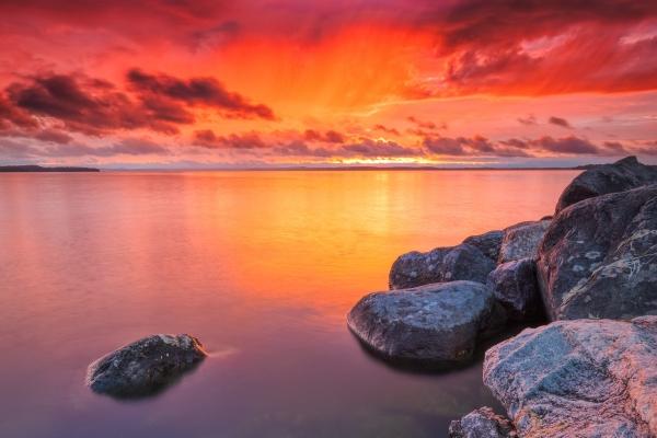 97年牛的正缘桃花是谁