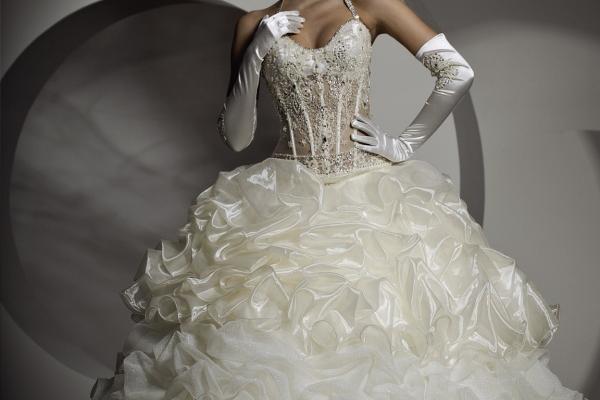 70年属狗人晚年命运如何