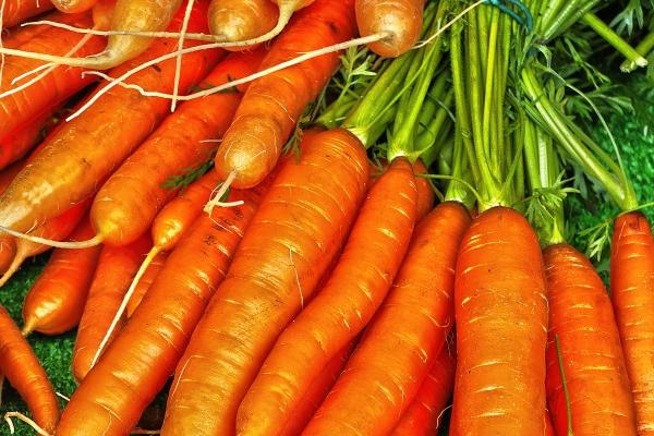 2025是火年还是木年