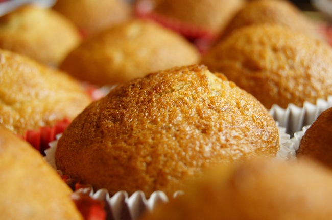 2025属马人全年12个月运势