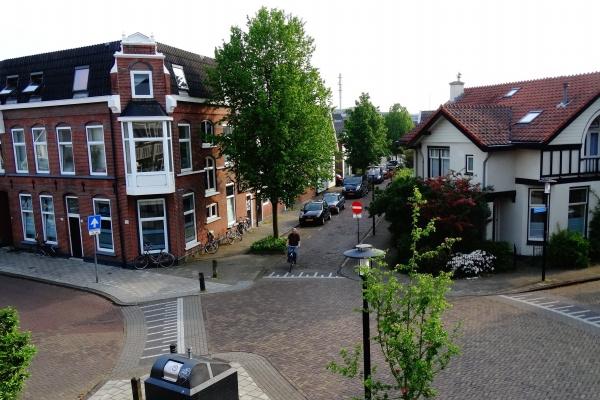 91年属羊人2025年运势走向