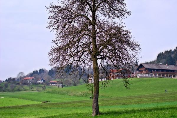 1974年属虎2025年运势