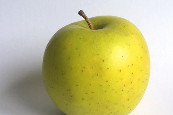 属猪女驾驭不了的生肖男