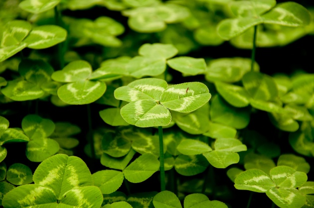 女人36岁逢九年注意什么