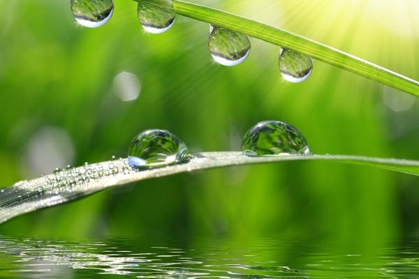 2025属鸡人躲不过去的大难