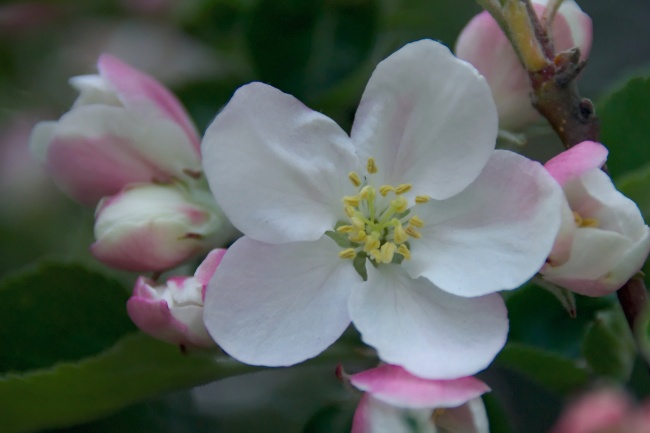 属猴人佩戴什么首饰最旺财
