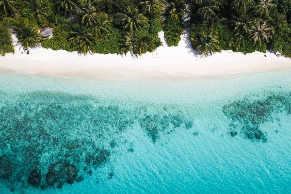 一月出生的蛇宝宝好吗