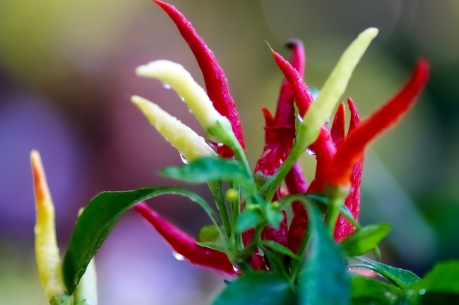 1985在2025每月运气