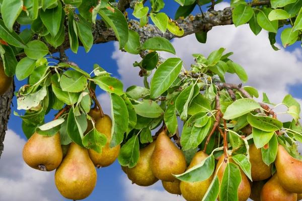 10月的虎女命运怎么样