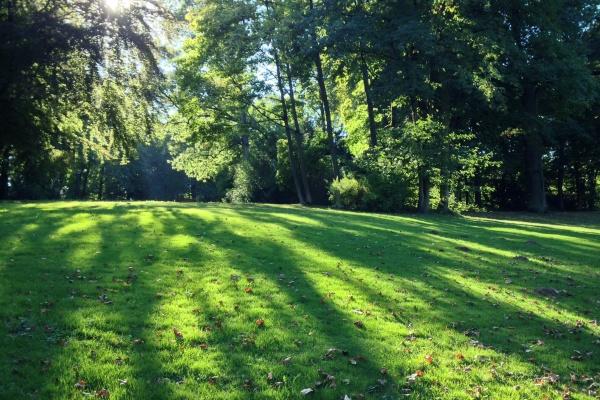 属牛的如何赶走小人