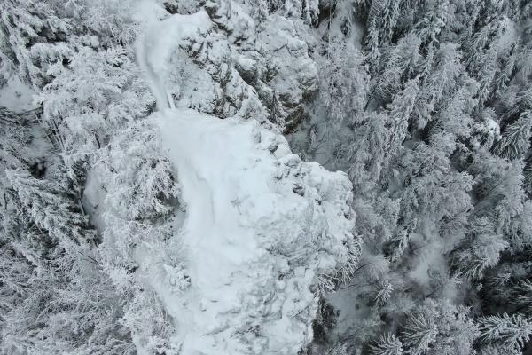 2025能几月份的蛇宝宝好