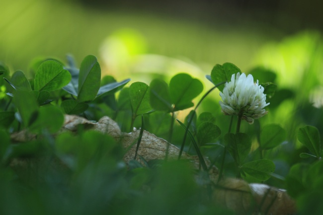 78年属马一生三劫
