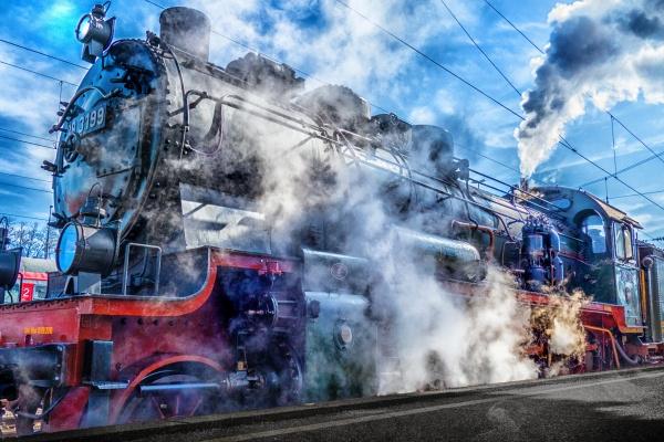 属兔的真爱是什么生肖