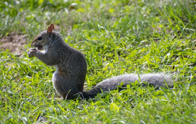 69年属鸡的人住几楼最吉利