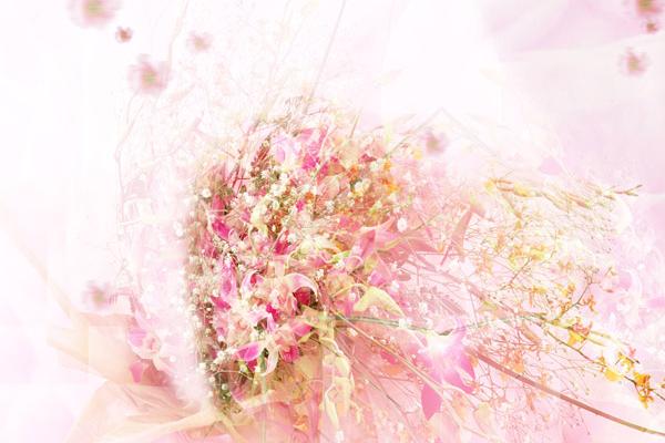 属猴在2025蛇年的运气