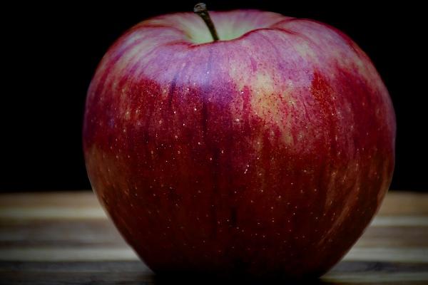 94年属狗结婚忌哪4个属相