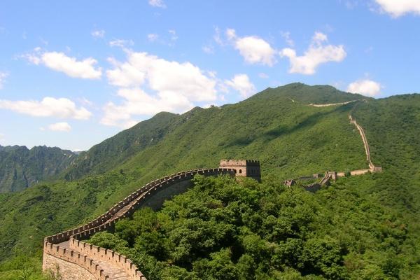 2025年属猪人躲不过去的大难