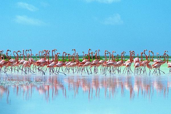 09年属牛2024年运势及运程