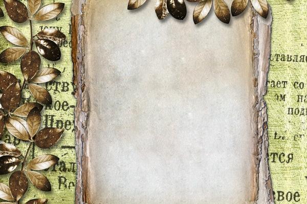 属兔男的喜欢什么性格的人