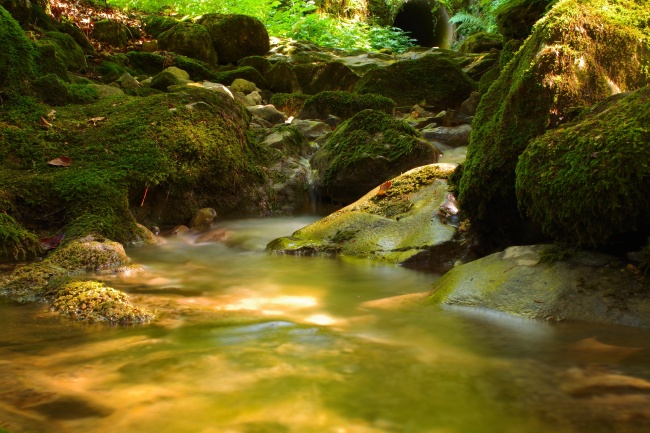 1991年属羊人2025年运势