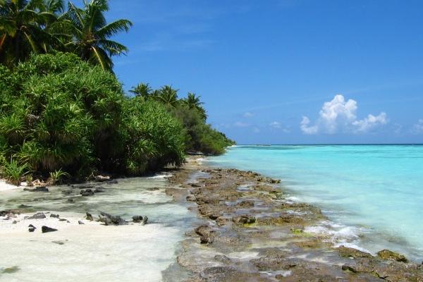 79年属羊人在2025蛇年运势