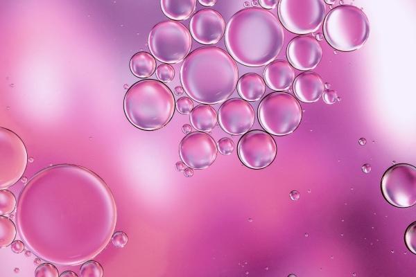 属牛5月份什么命