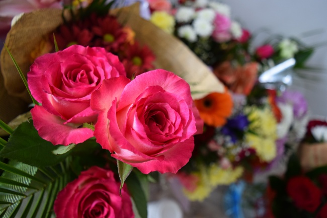 属兔住宅大门朝向最佳