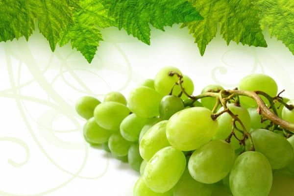 九紫离火对属龙生肖有利么，属龙人运势好吗