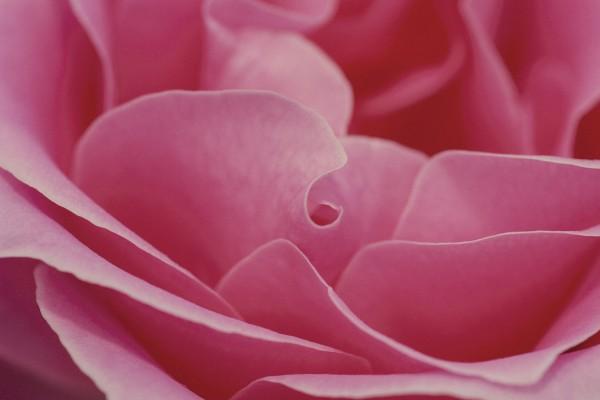 76年属龙人2025运势运程