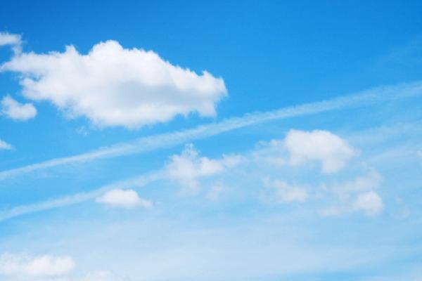 属狗女驾驭的生肖男