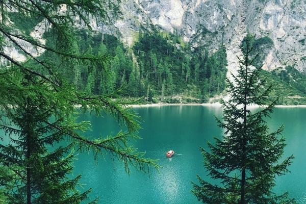 70年属狗2025犯太岁吗