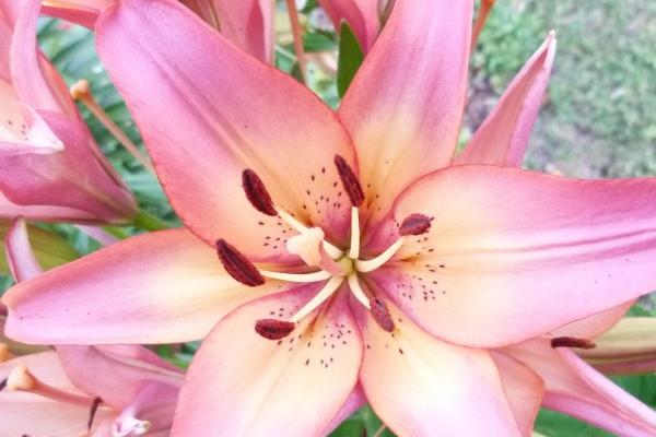 74年的虎女晚年过得好吗