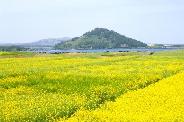 属鸡最讨厌的生肖