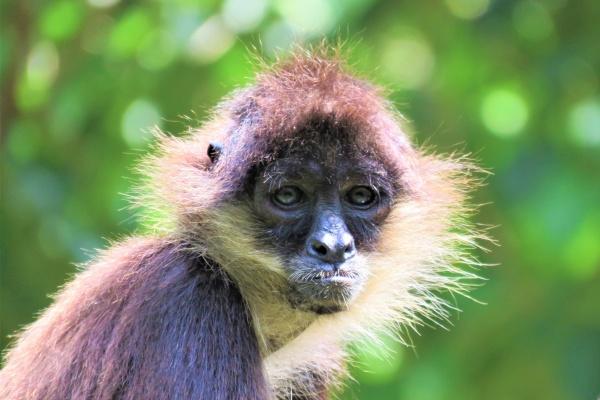 73年属牛女晚年怎么样