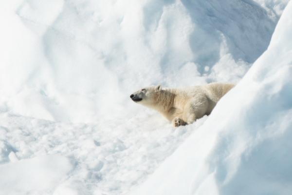 76年属龙男48岁后命运