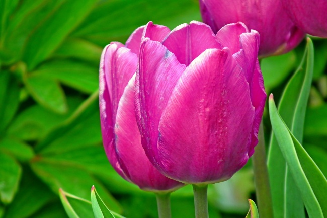 属猴一碰就发财的专业