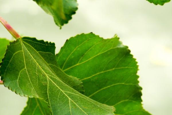 2025年属牛人远离一个人