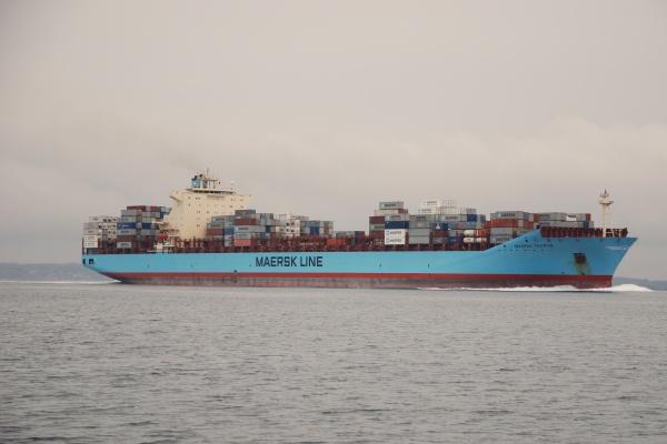 1981属鸡人的灾难年龄