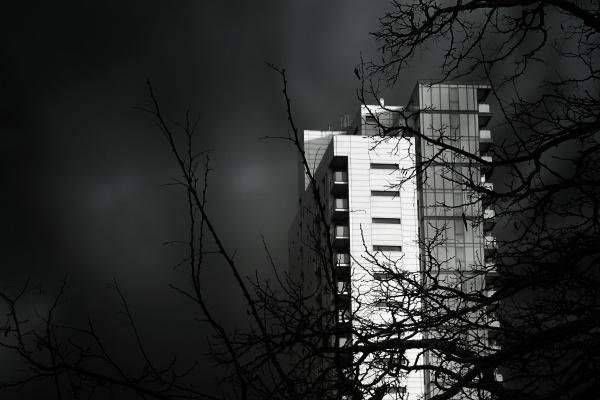 生肖羊2025年的运势