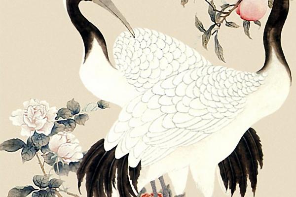 70年11月初九属狗人的命运