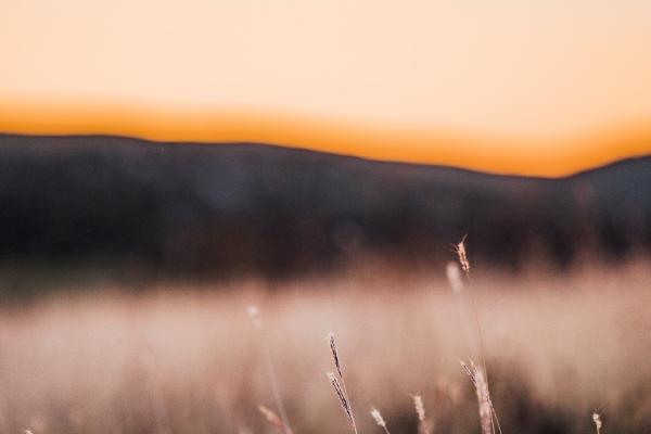 1978年马进入九紫离火运