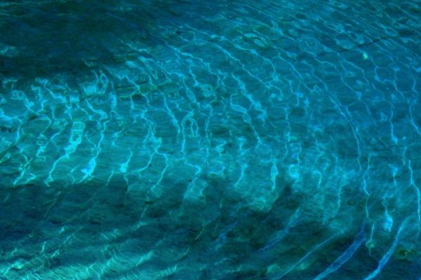 2025属兔人运势及运程详解