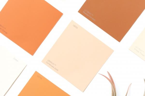 谁最真心爱属兔女