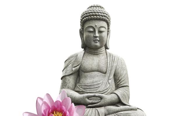 1992年属猴2025蛇年年运势